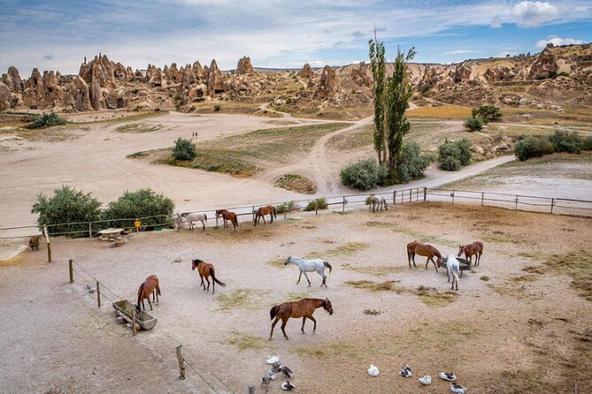 10-Days Istanbul, Ephesus, Pamukkale, Antalya & Cappadocia Tour - Day 6: Antalya changes the pace to water and trees