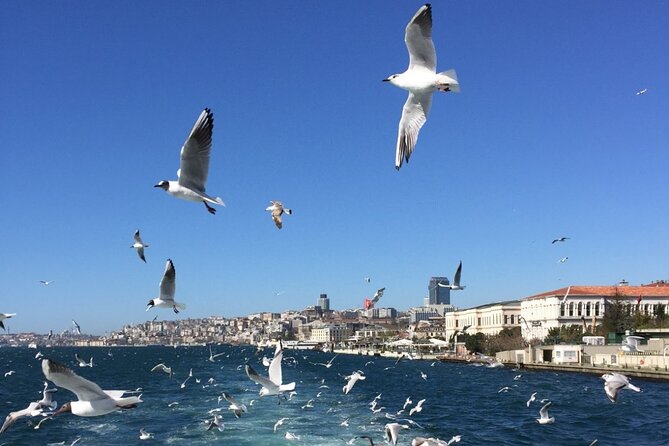 2-Hour Private Luxury Yacht Cruise on Bosphorus with Transfers - The Bosphorus Bridge and the scale of Istanbul