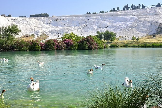 4 Days Turkey Tour - Cappadocia, Ephesus and Pamukkale Tour - Day 4: Ephesus, the Virgin Mary, and Sirince