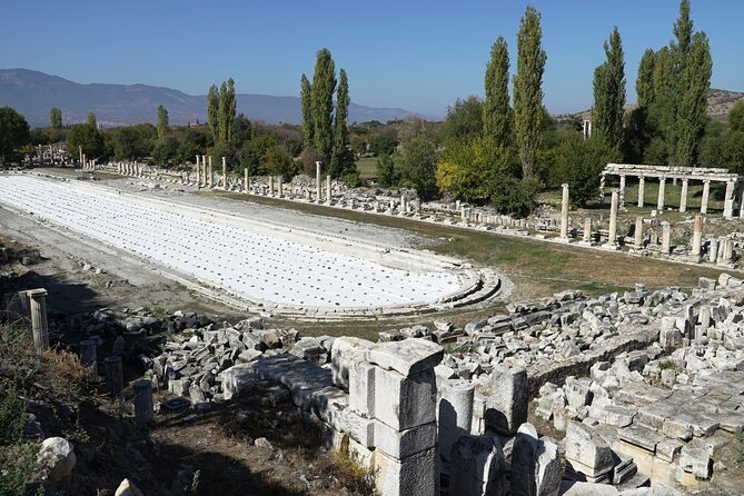 5 days Private Tour of Western Turkey (Troy-Pergamon-Ephesus-Didyma-Pamukkale) - Day 5: Aphrodisias and Pamukkale’s ancient spa world