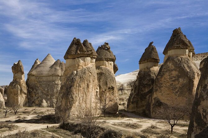 8 Day Istanbul - Cappadocia - Ephesus - Pamukkale Discover Tour - Who should book this tour?