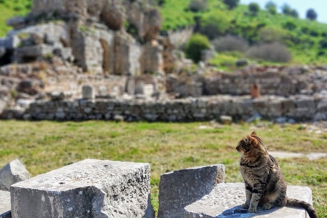 All Inclusive Private Ephesus Day Trip from Istanbul by Plane - Walking the marble streets of Ephesus