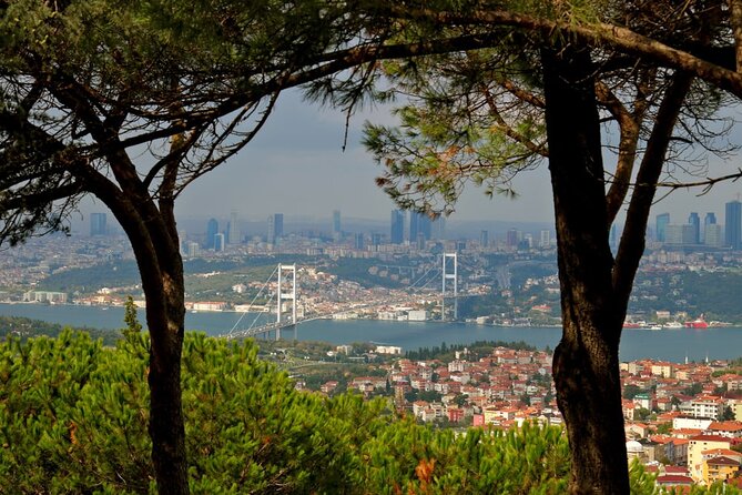 Asian Side of Istanbul Tour - Half-Day Small Group Tour - What the $150.20 price really covers