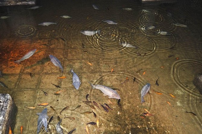 Basilica Cistern Skip the Line Ticket - How long to allow and when to go