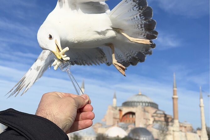 Best of Istanbul City Full-Day Tour with Transfers - The Hippodrome, where old Istanbul began