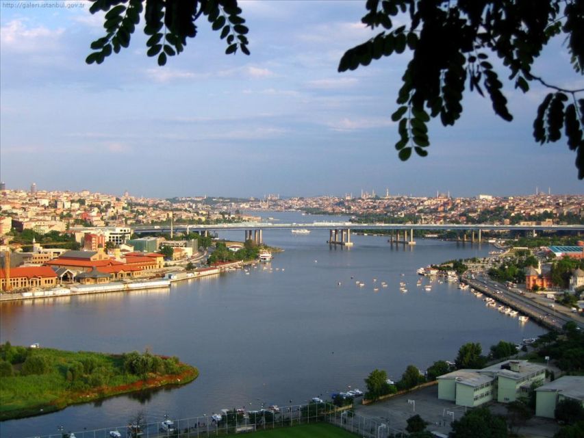 Bosphorus Boat Cruise & Two Continents Tour with Lunch - A 1.5-hour Bosphorus cruise between Europe and Asia