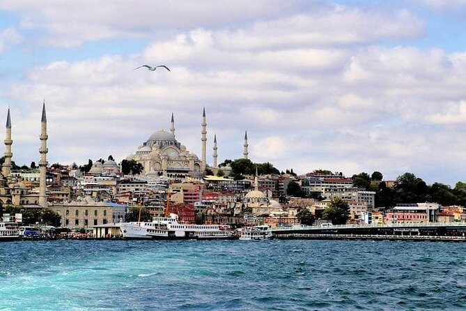 Bosphorus Cruise Tour Istanbul - What the guide service is really like