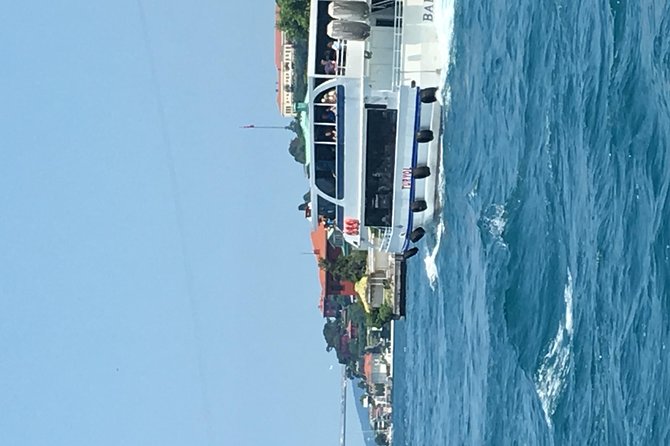 Bosphorus Cruise With Dolmabahçe Palace and Fortresses - Dolmabahçe Palace and the last Ottoman court
