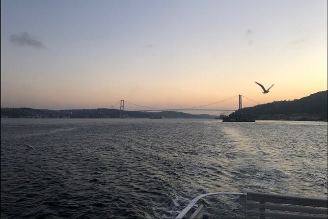 Bosphorus Explorer: 3-Hour Cruise with Asian Side Visit - Ortaköy Mosque and the first bridge crossing
