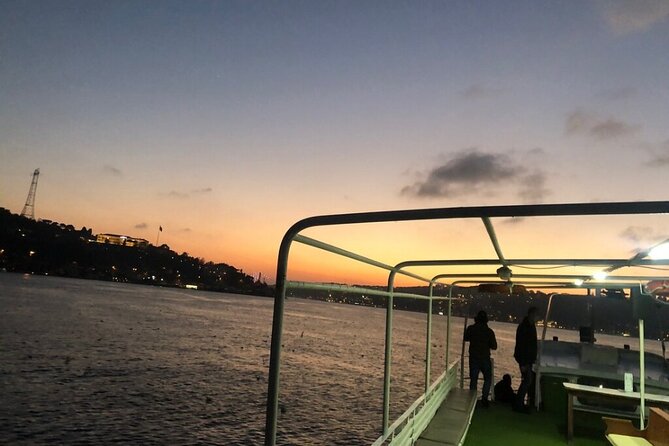 Bosphorus Explorer: 3-Hour Cruise with Asian Side Visit - Starting at Sarıdemir, near the Galata Bridge