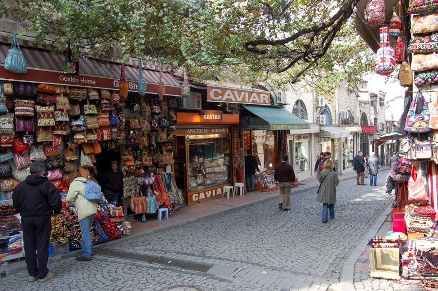 Bosphorus Tour With Lunch - Old wooden villas and Istanbul’s waterfront character