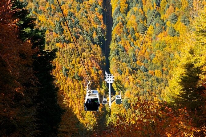 Bursa And Uludağ Tour From İstanbul with Cable Car & Lunch - Bursa and Uludağ: what this long day is really like