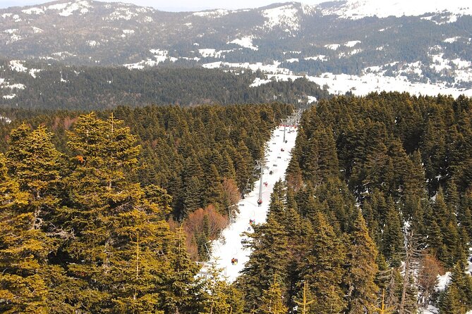 Bursa City and Uludag Mountain Day Trip with Pick up & Cable Car - Taking the cable car down