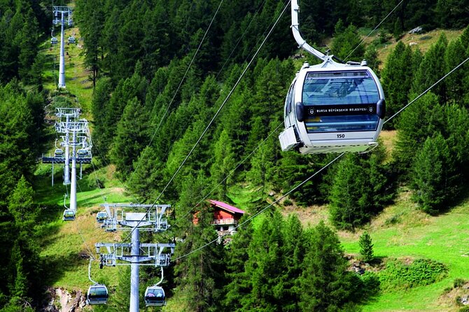 Bursa Day Trip from Istanbul with Uludag Cable Car Experience - Bursa’s old plane tree and the climb to Uludag