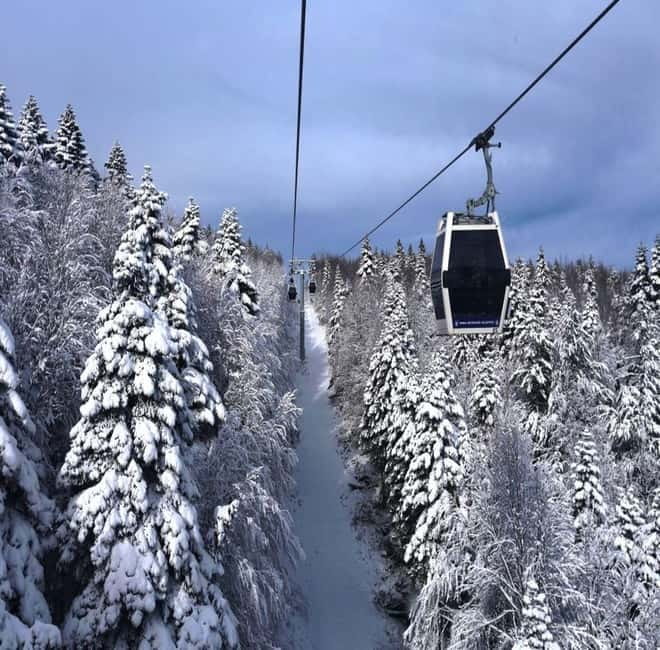 Bursa Nature Tour with Lunch & Cable Car (optional) - The 638-year-old plane tree