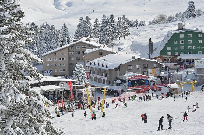Bursa Uludağ Mountain Tour & Cable Car Ride from Istanbul - Bursas old plane tree and the Turkish delight stop
