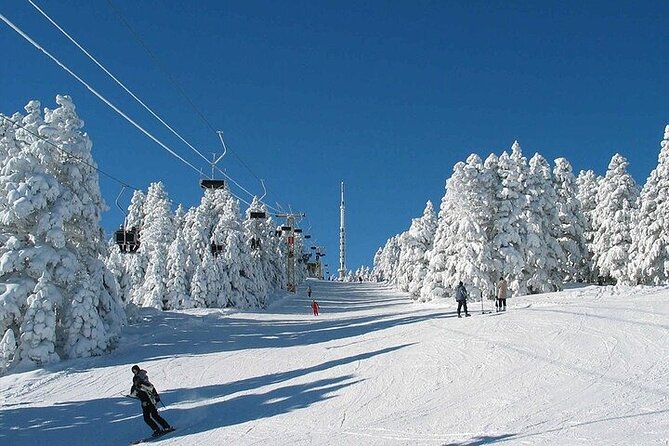 Bursa Uludag Tour From Istanbul with Lunch - The real shape of this Bursa day trip