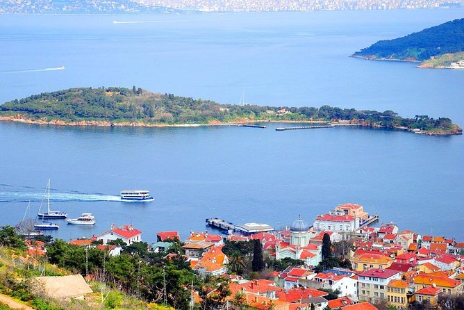 Buyukada Princes’ Island Guided Day Tour with lunch from Istanbul - Arriving at Büyükada and seeing the old wooden houses