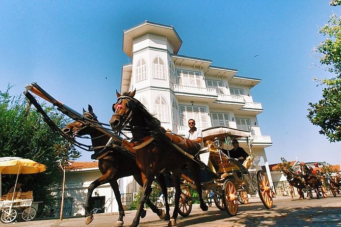 Buyukada Princes’ Island Guided Day Tour with lunch from Istanbul - Free time for beaches, cafés, and island wandering