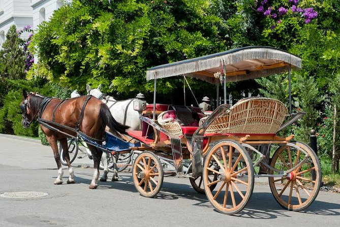 Buyukada Princes’ Island Guided Day Tour with lunch from Istanbul - The 8:00 a.m. pickup and transfer to the port