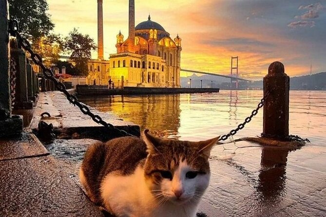Circle Istanbul (Extraordinary Istanbul) - Kadikoy and the ferry to Istanbul’s Asian side