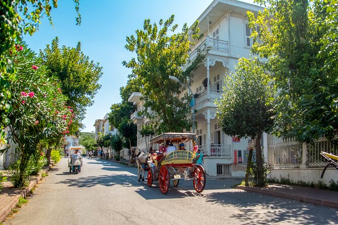 Cruise to the Princes' Islands - A short walk through Büyükada’s wooden streets