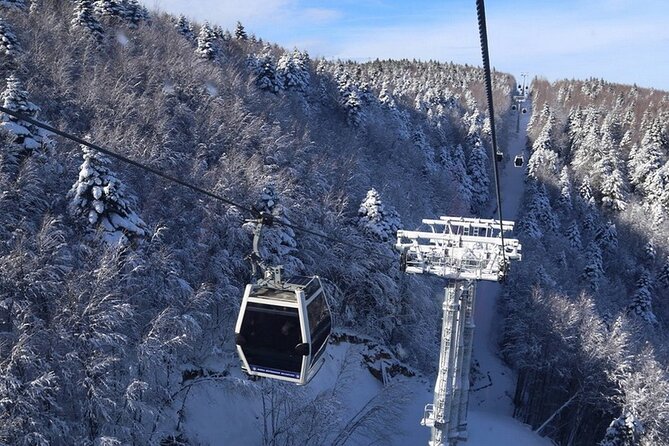 Daily Bursa Uludag Mountain & Cable Car Tour with Lunch from Istanbul - Inkaya’s 600-year-old plane tree