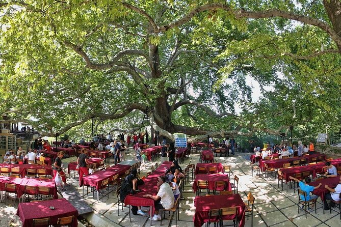 Daily Bursa Uludag Mountain & Cable Car Tour with Lunch from Istanbul - Lunch in the mountains and the value of the $50.57 price