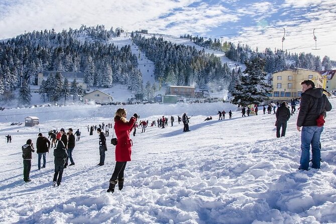 Daily Bursa Uludag Mountain & Cable Car Tour with Lunch from Istanbul - What the guide and group format add
