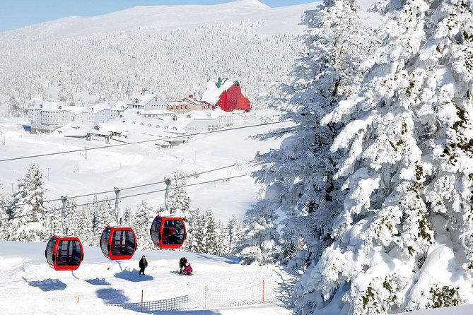 Daily Bursa Uludag Tour - Key points to know before booking