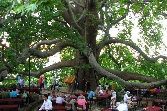 Daily Bursa Uludag Tour - Who will enjoy this Bursa day trip