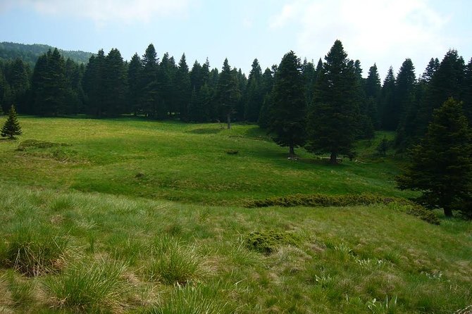 Daily Green Bursa Tour From Istanbul - What the $68.65 price really covers