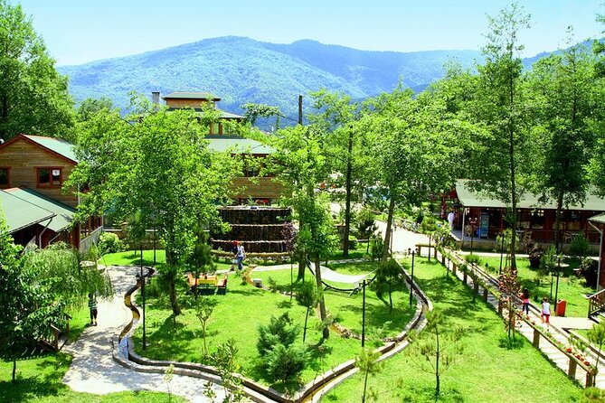 Daily Sapanca & Maşukiye & Mahmudiye Tour with Lunch from Istanbul - Maşukiye’s forests and the glass walkway