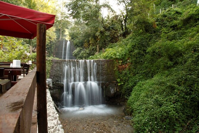 Daily Sapanca & Maşukiye & Mahmudiye Tour with Lunch from Istanbul - Turkish delight, shopping, and the first break