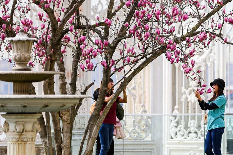 Dolmabahce Palace & Harem Fast-Track Entry with Audio Guide - Selamlik: the palace’s grand public face