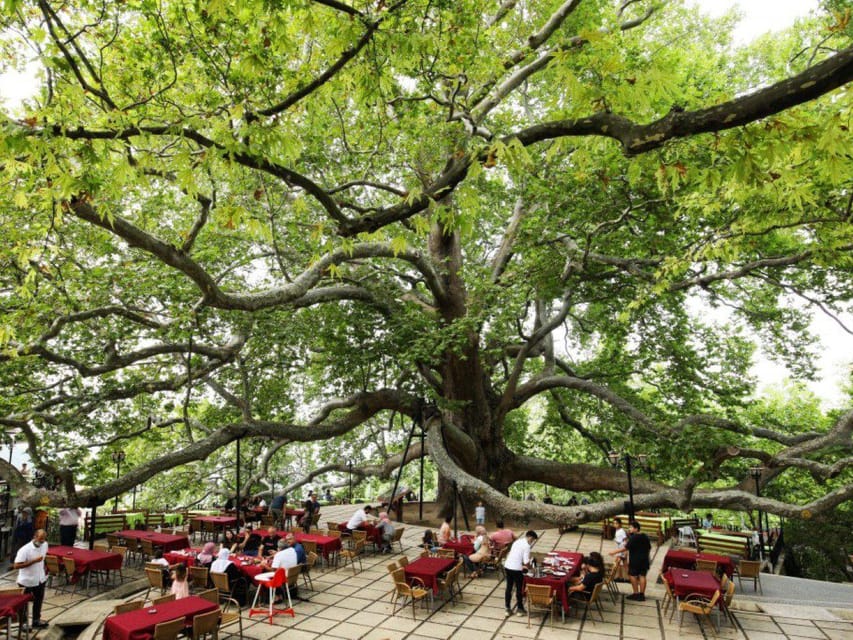 From Istanbul: Bursa Day Trip with Lunch and Transfers - Who should book this Bursa outing?