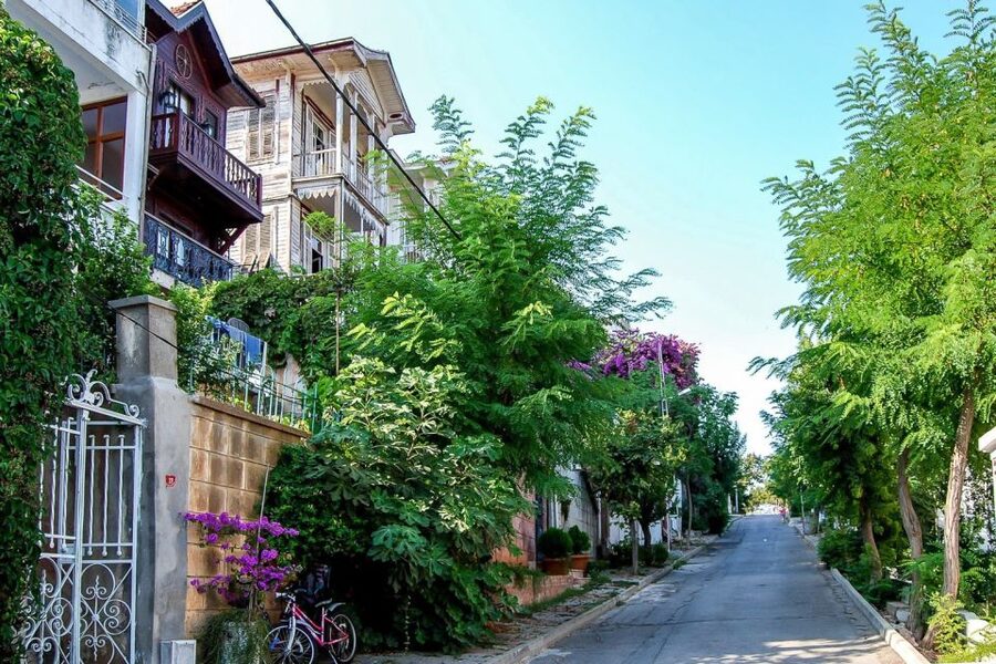 From Istanbul: Full-Day Princes Island Tour with Lunch - Why this island trip works as an Istanbul break
