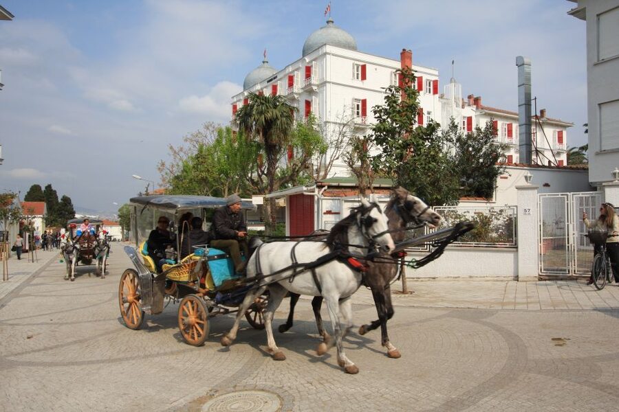 From Istanbul: Full-Day Princes Island Tour with Lunch - The first crossing, with Istanbul behind you