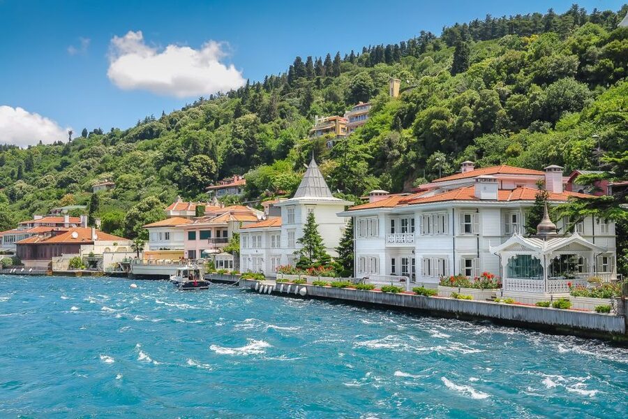 From Istanbul: Full-Day Princes Island Tour with Lunch - Büyükada, the main reason to book
