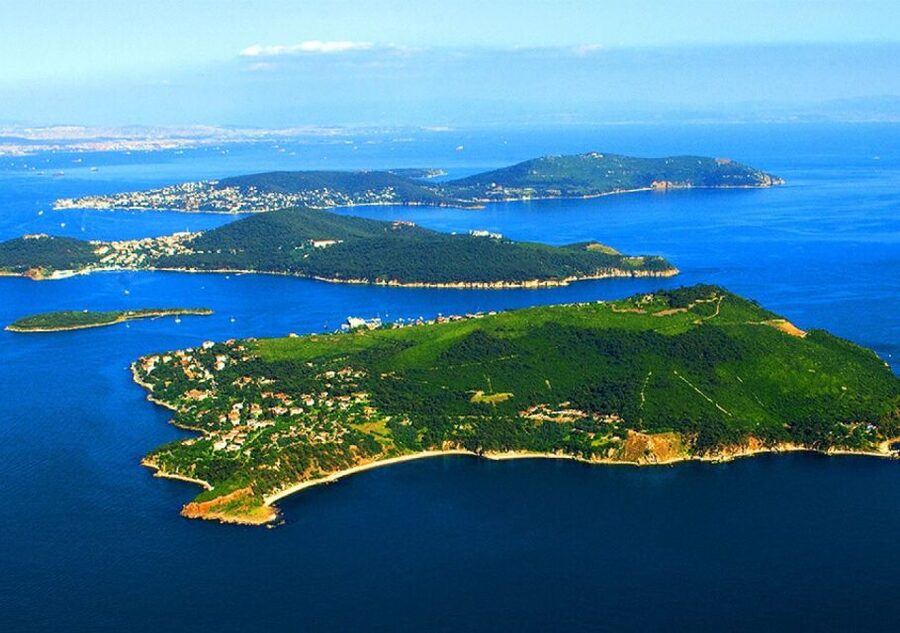 From Istanbul: Full-Day Princes Island Tour with Lunch - What the boat and coach are really like