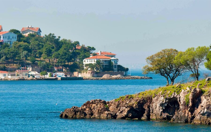 From Istanbul: Full-Day Princes Island Tour with Lunch - Who will enjoy this tour most