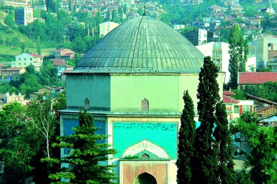 From Istanbul: Full-Day Tour to Bursa - The old tree and the final stops