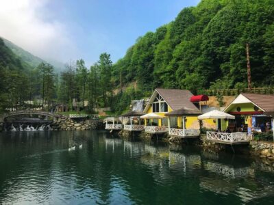 Guided Day Trip to Sapanca and Masukiye