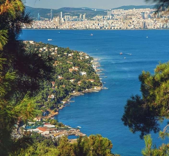 From Istanbul: Princes Island Tour with 2 Islands - The second island and the cost of limited time