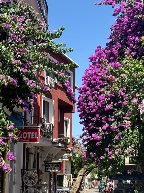 From Istanbul: Princess Islands Guided Tour - How to use your three hours on Büyükada