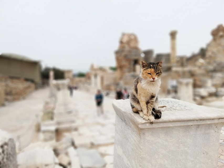 From Istanbul: Private Guided Day Trip to Ephesus with Lunch - Starting with hotel pickup and a domestic flight