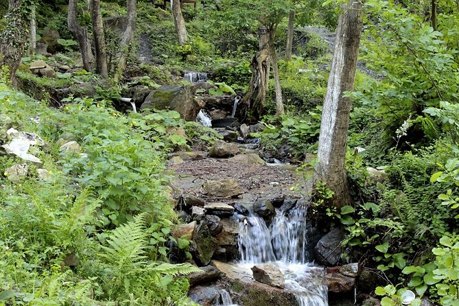 From Istanbul: Sapanca and Masukiye Day Trip with Lunch - Lunch beside water and forest