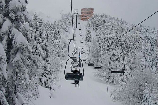 Full Day Bursa Tour from Istanbul(cable car, Lunch & transfer) - The İnkaya Historical Plane Tree
