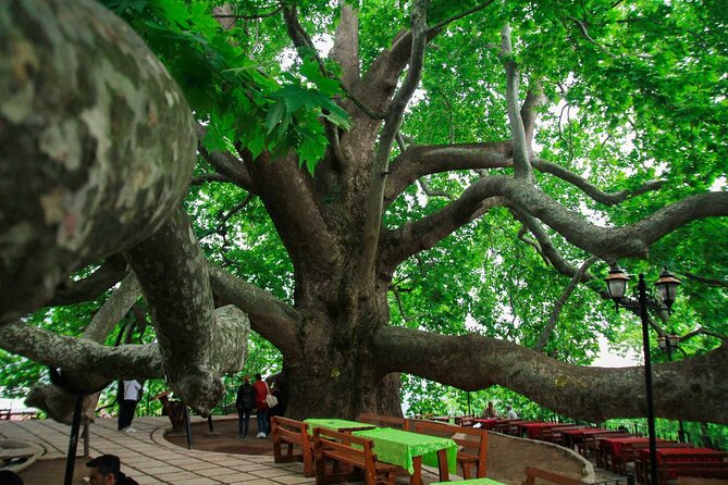 Full Day Bursa Tour from Istanbul(cable car, Lunch & transfer) - The nature stop and optional ATV safari
