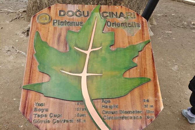 Full Day Guided Tour to Bursa and Uludag - The 8:30 a.m. pickup and ferry ride over Izmit Bay